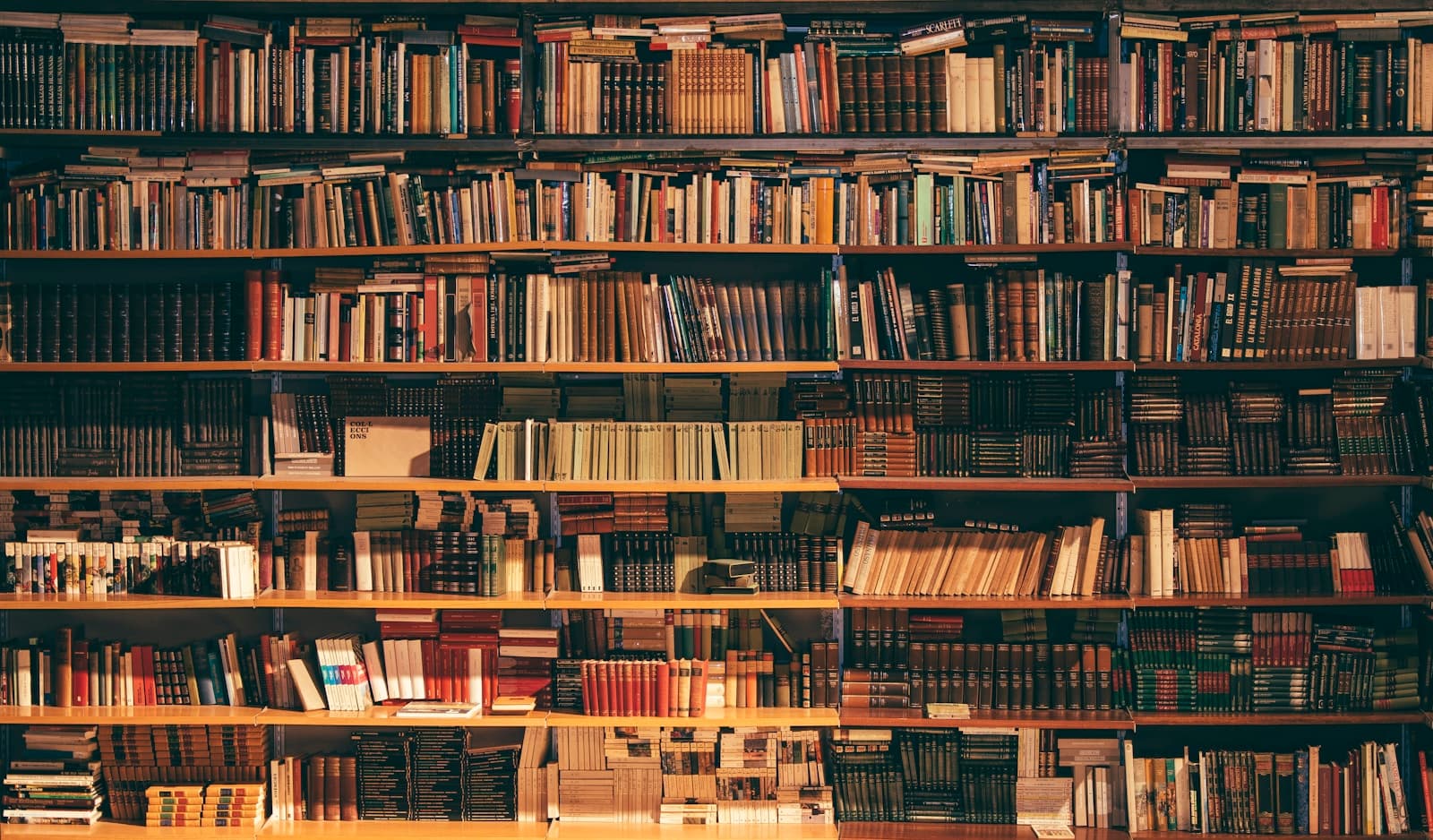 Rows of books on library shelves representing a physical collection awaiting digitisation
