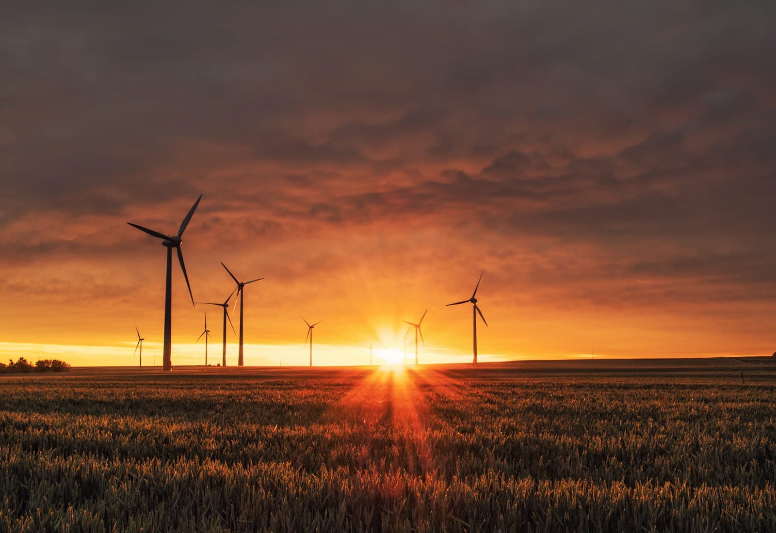 Wind turbines silhouetted against a golden sunset over an open field.