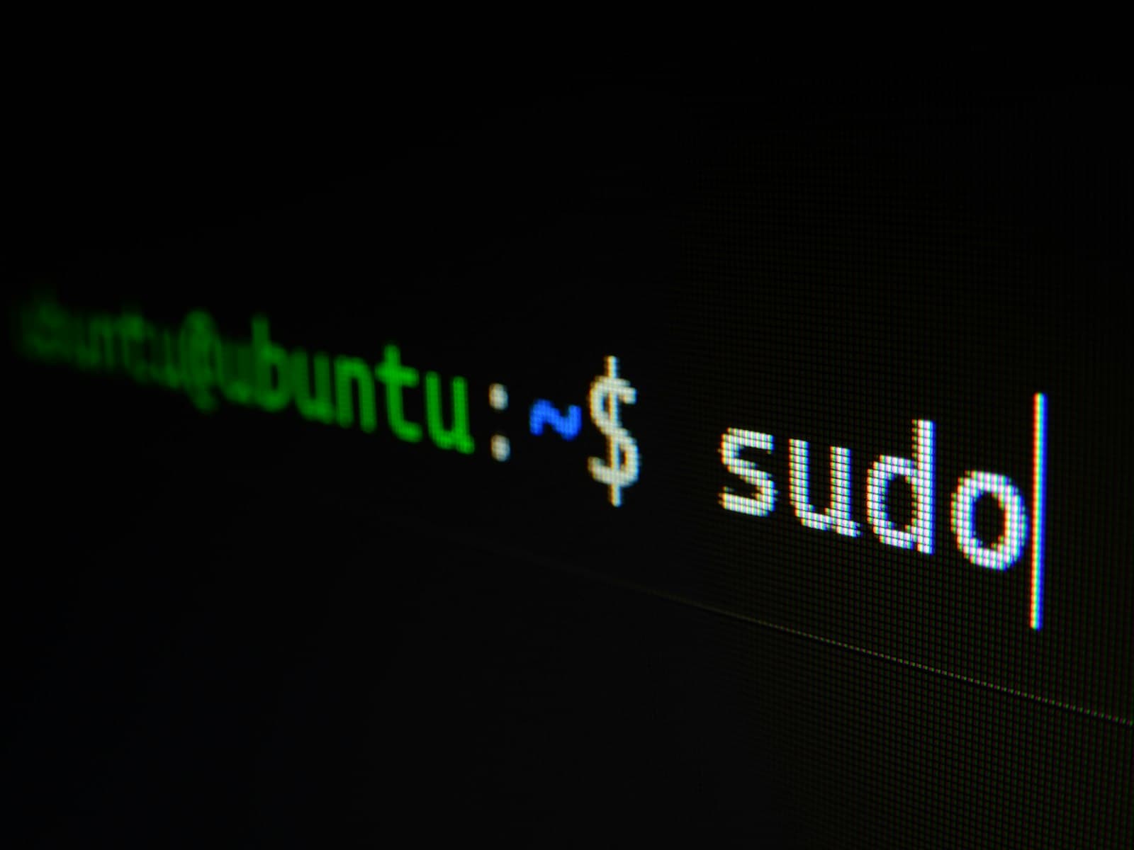 Terminal shell session with monospaced command output, representative of regex, JSON and OpenAPI validation utilities.